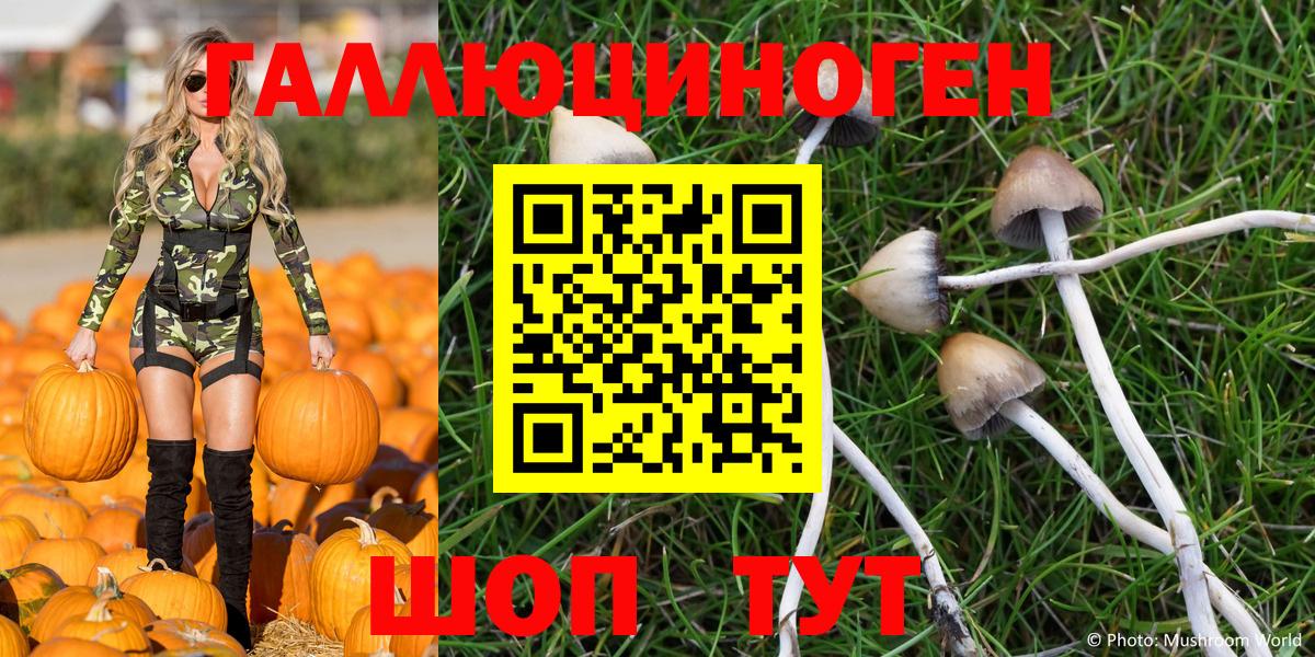 Псилоцибиновые грибы Magic Shrooms Сыктывкар